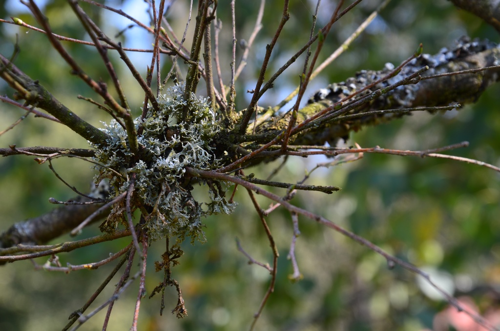 2017-09-23 Boëge/DSC_0024.JPG